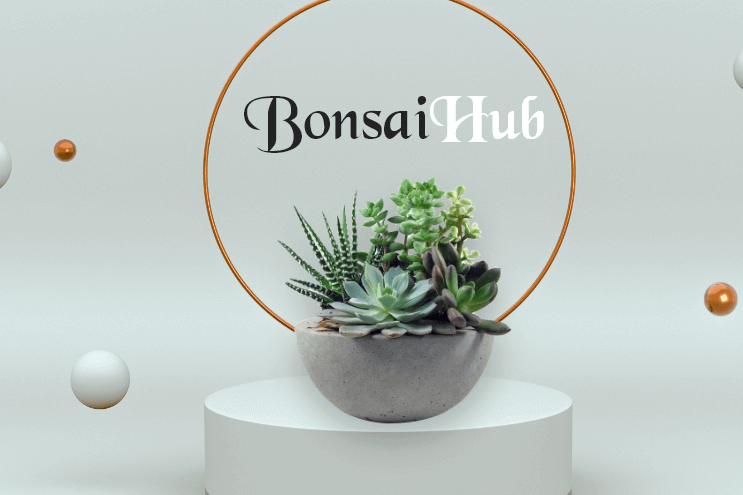 Bonsai E-commerce